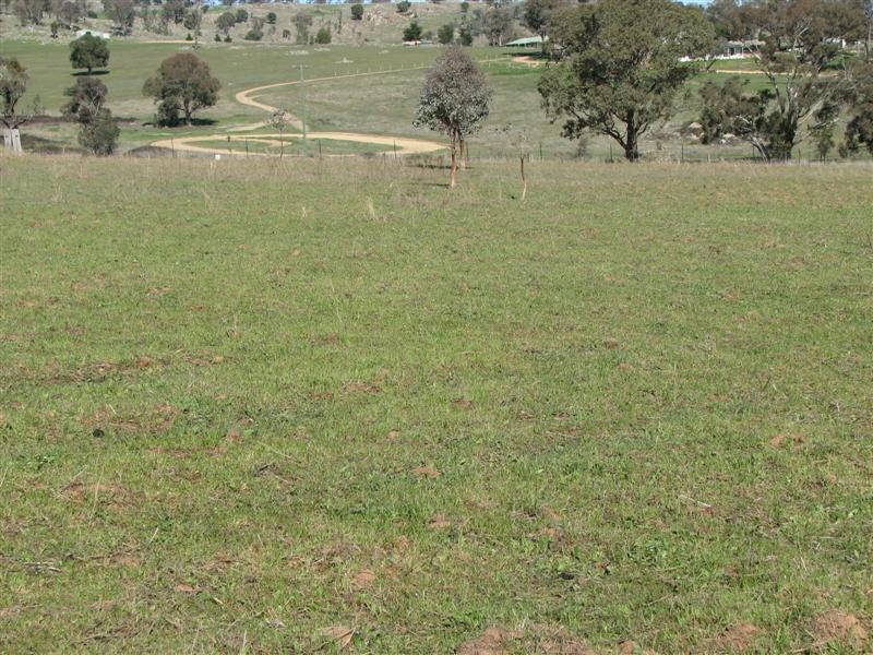 1133 Pine Mount Road, Woodstock NSW 2793