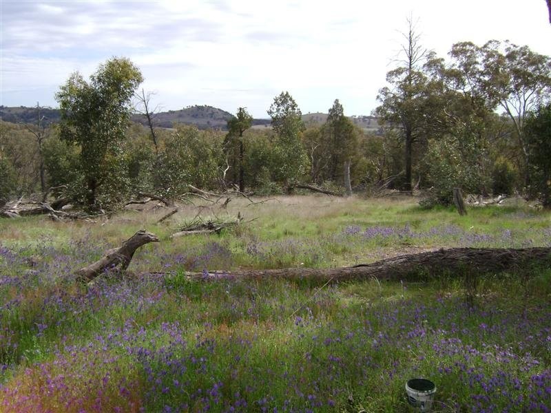 Lot 1, 211 Horton Drive, Woodstock NSW 2793