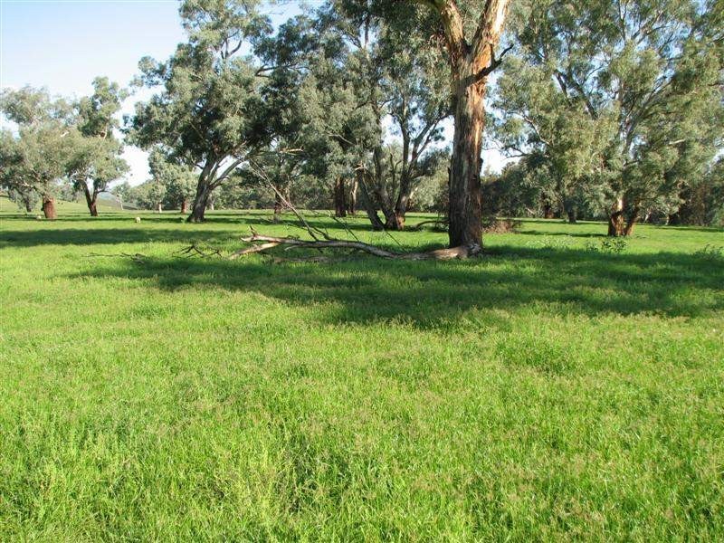 1212 Darbys Falls Road, Cowra NSW 2794