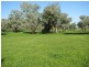1212 Darbys Falls Road, Cowra NSW 2794