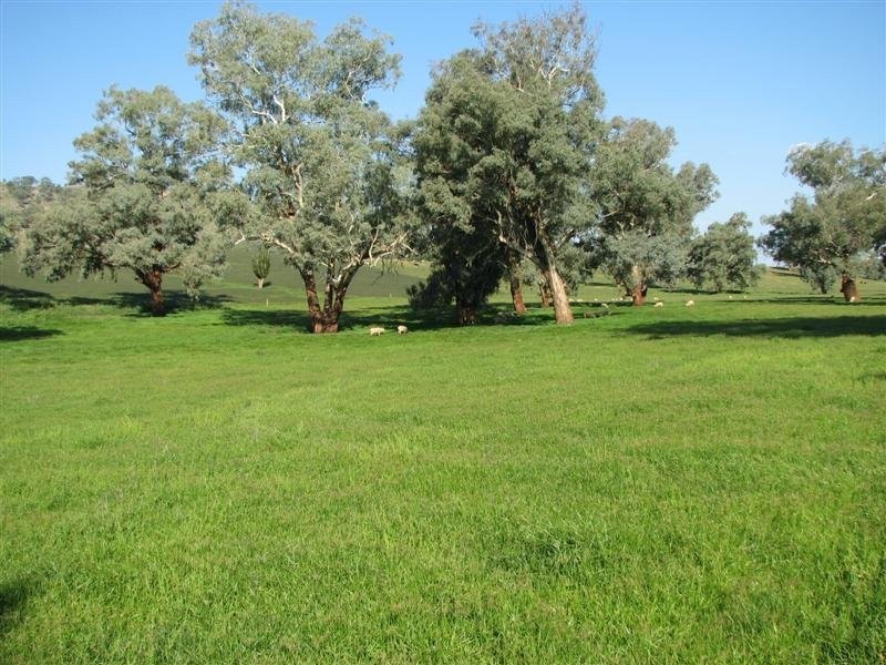 1212 Darbys Falls Road, Cowra NSW 2794