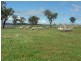 280 Elliots Road, Cowra NSW 2794