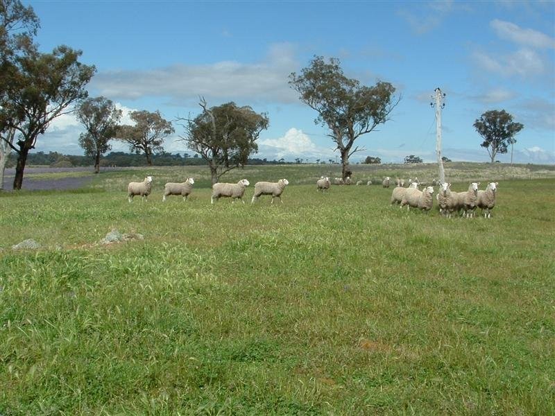 280 Elliots Road, Cowra NSW 2794