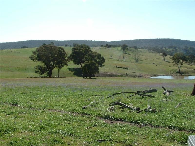 280 Elliots Road, Cowra NSW 2794