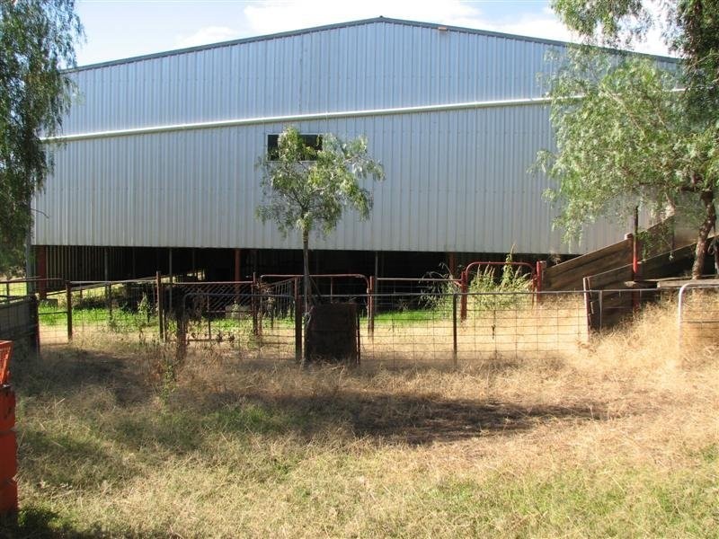0 Binni Creek Road / George Russell Drive, Cowra NSW 2794