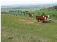 Wattamondara NSW 2794