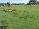 Wattamondara NSW 2794
