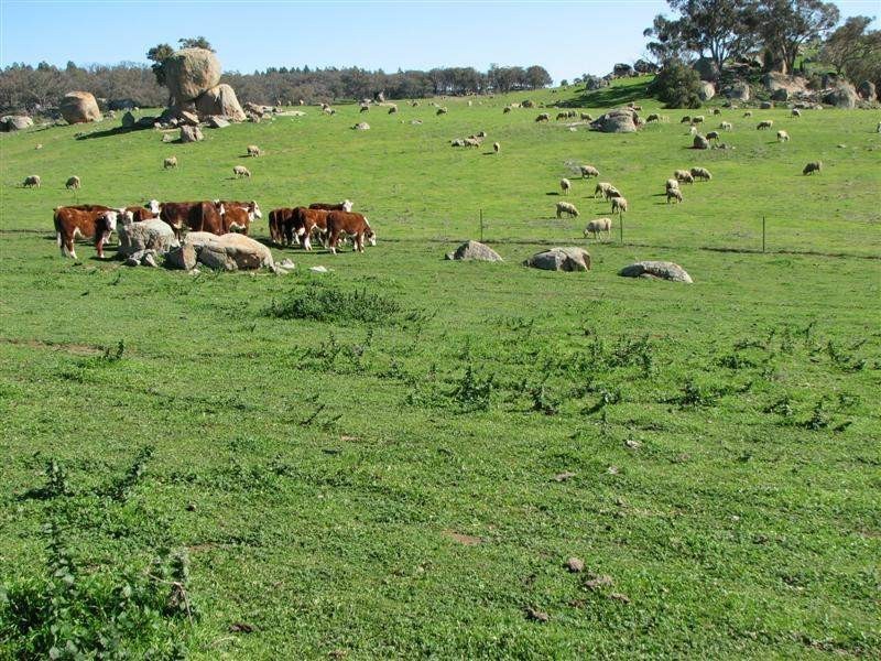 Wattamondara NSW 2794