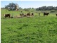 Wattamondara NSW 2794