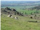Wattamondara NSW 2794