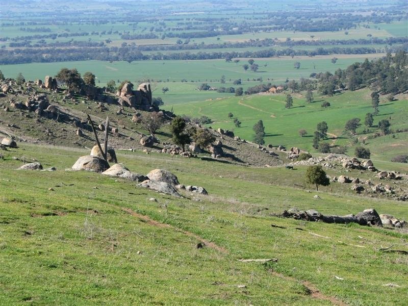 Wattamondara NSW 2794