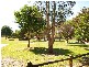 97 Kent Road, North Ryde NSW 2113