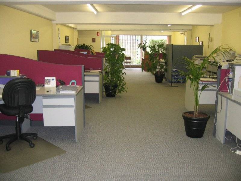 70 Lovell Road, Eastwood NSW 2122