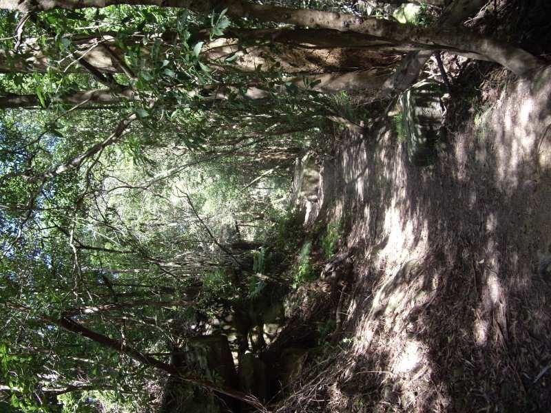 23 Valley Way, Gymea Bay NSW 2227