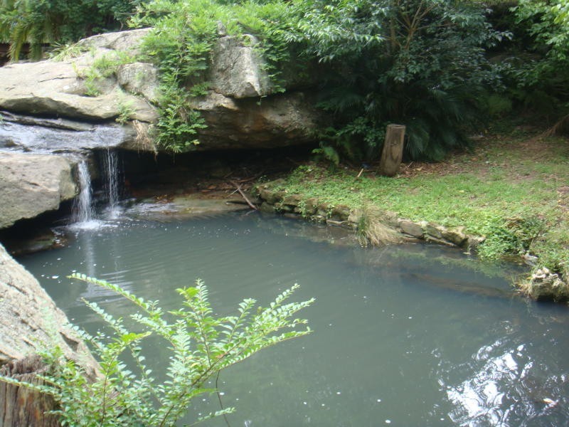 40 North West Arm Road, Gymea NSW 2227