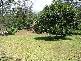 54 Tunbridge Drive, Nerang QLD 4211