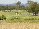 2004 The Boulevarde, Benowa QLD 4217
