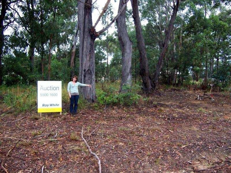 16 Assorted Blocks, Russell Island QLD 4184