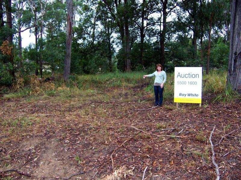 16 Assorted Blocks, Russell Island QLD 4184