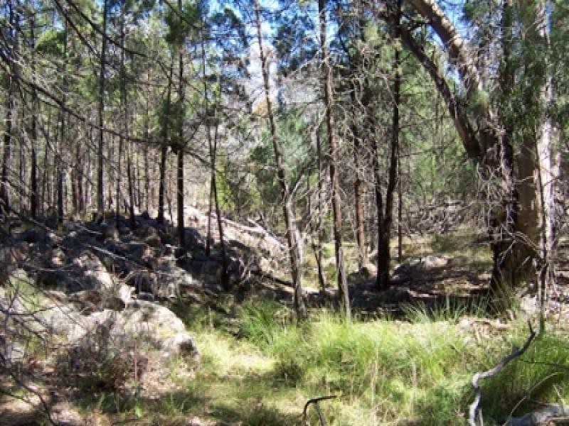 Lot 5 Obley Road, Dubbo NSW 2830