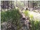 Lot 5 Obley Road, Dubbo NSW 2830