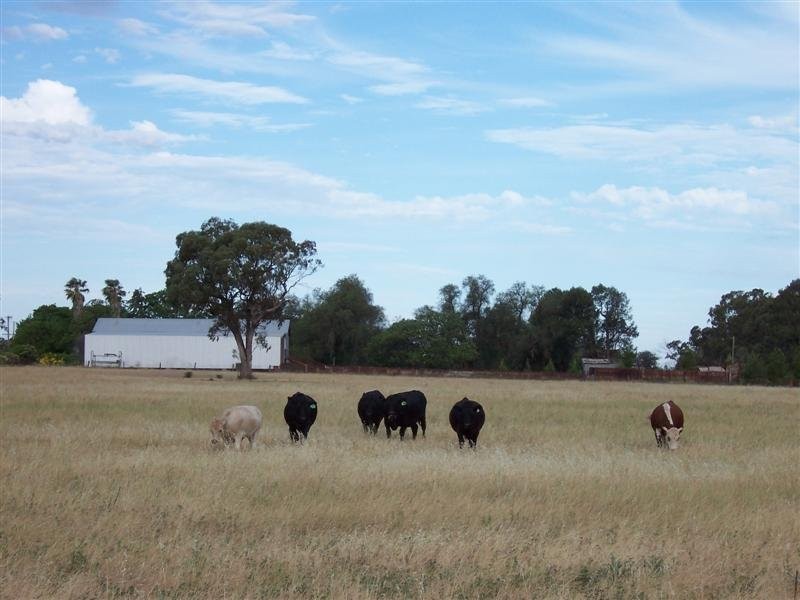Lot 205 Coakers Road, Dubbo NSW 2830