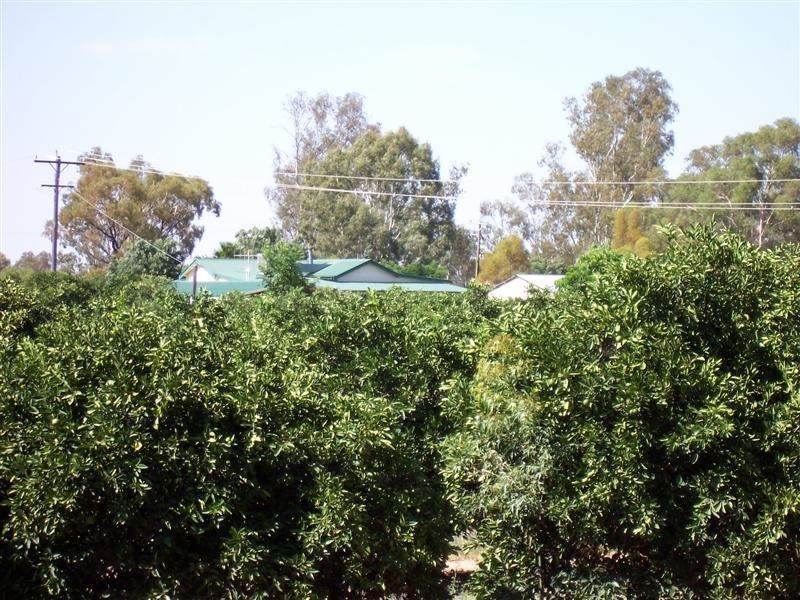 “Green Gin Gin, Trangie NSW 2823