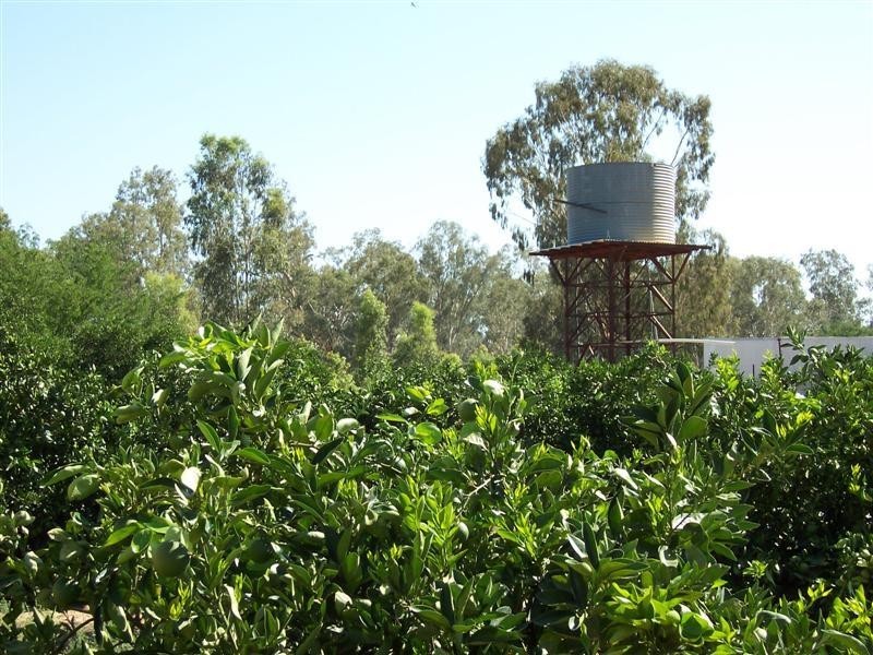 “Green Gin Gin, Trangie NSW 2823