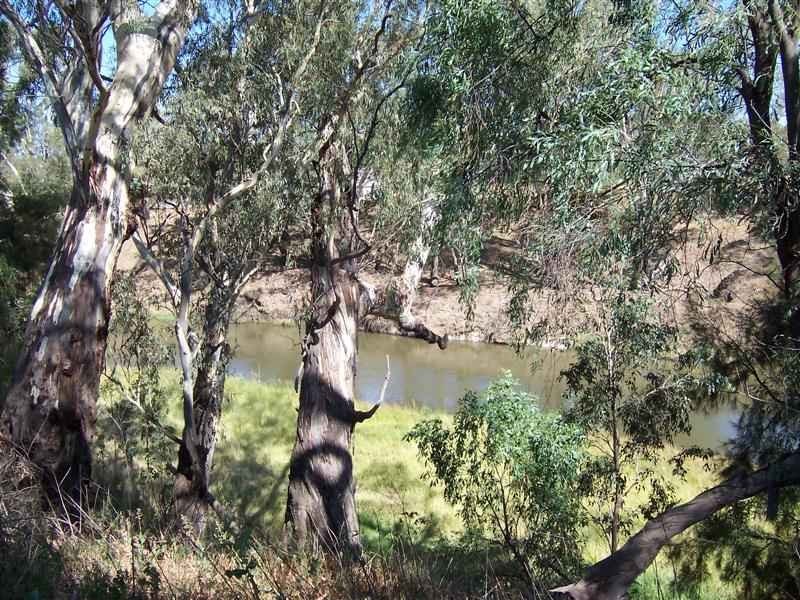 “Green Gin Gin, Trangie NSW 2823