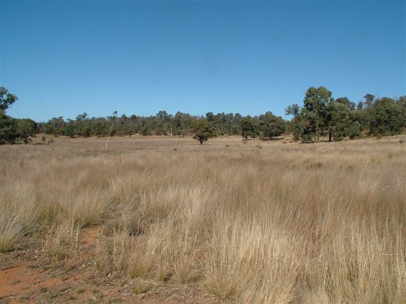 , 101R Old Mendooran Road, Dubbo NSW 2830