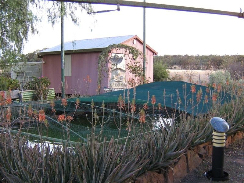 , Lot 84 Barbigal Street, Elong Elong NSW 2831