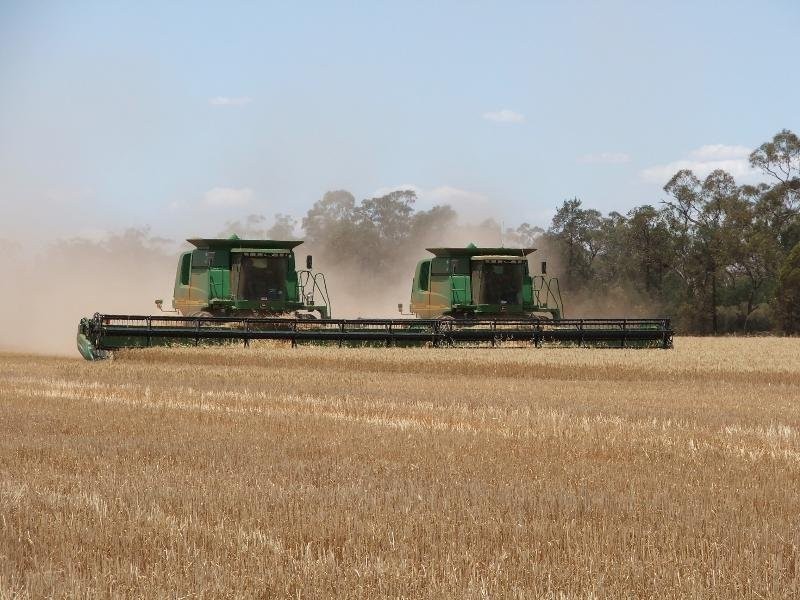 ‘Mogal Plain’, Tottenham NSW 2873