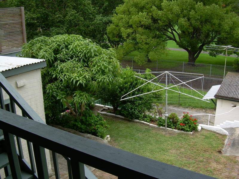 104 Thornley Street, Marrickville NSW 2204