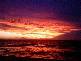 Moreton Island QLD 4025
