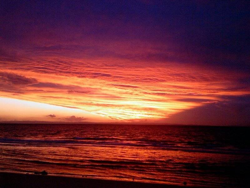 Moreton Island QLD 4025