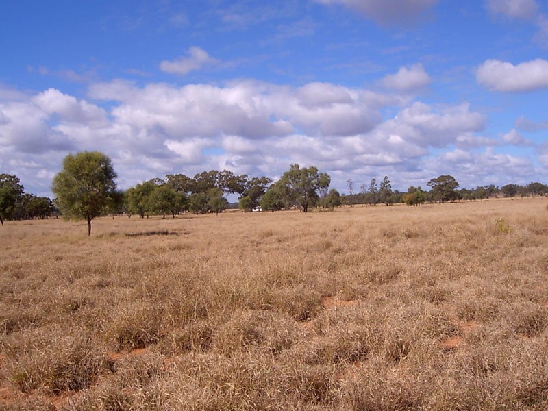 Lot 3 Plasery Lane, Mitchell QLD 4465