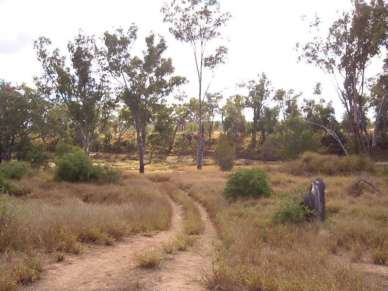 Lot 3 Plasery Lane, Mitchell QLD 4465