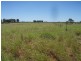 Lot 30 Albert Park Road, Charleville QLD 4470