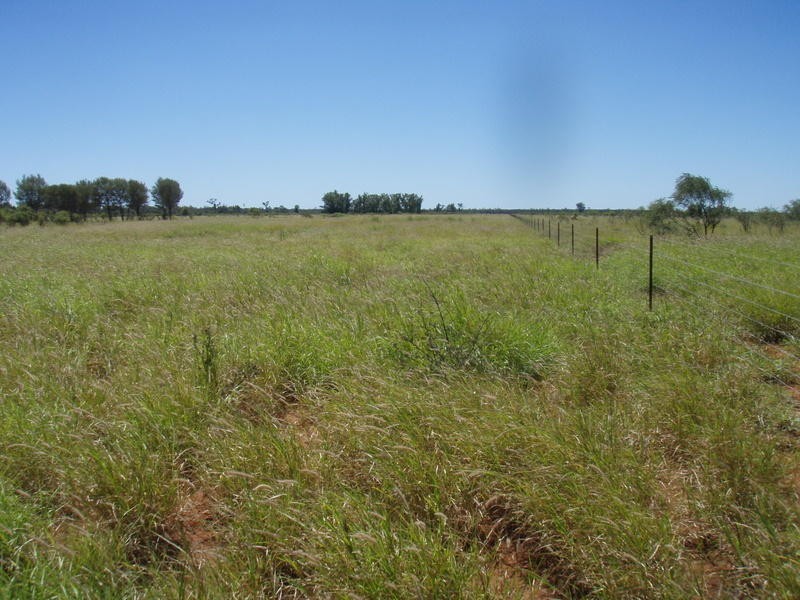 Lot 30 Albert Park Road, Charleville QLD 4470