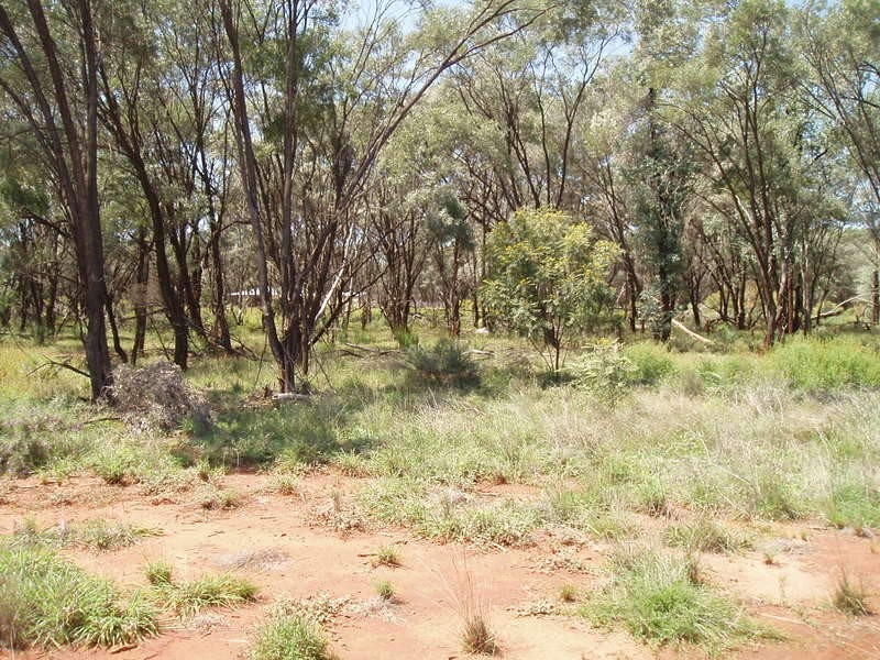 16 Murweh Drive, Charleville QLD 4470