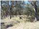 GILMORE HOLDING, Adavale QLD 4474