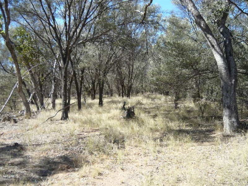 GILMORE HOLDING, Adavale QLD 4474