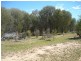 GILMORE HOLDING, Adavale QLD 4474