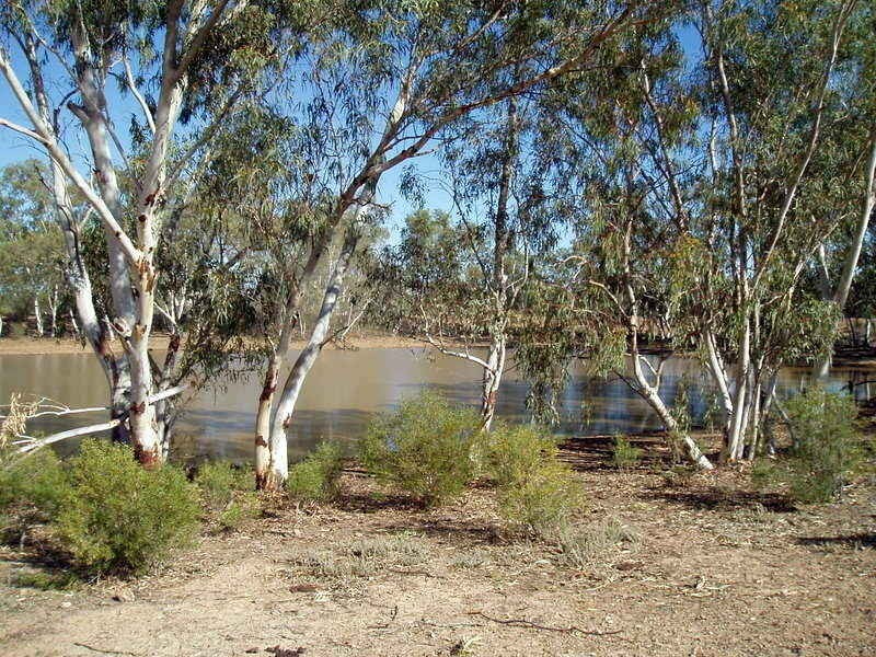 Quilpie QLD 4480