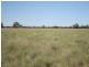“MYENDETTA” CHARLEVILLE, Charleville QLD 4470