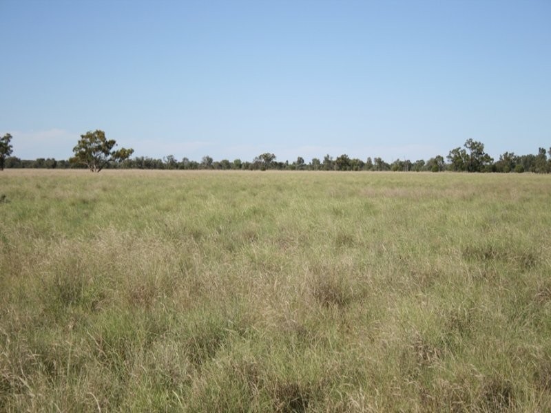 “MYENDETTA” CHARLEVILLE, Charleville QLD 4470