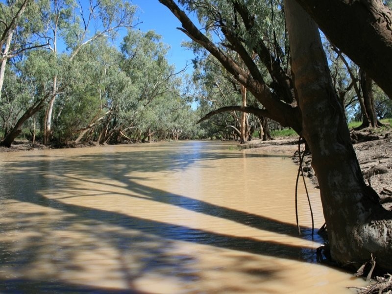 “MYENDETTA” CHARLEVILLE, Charleville QLD 4470