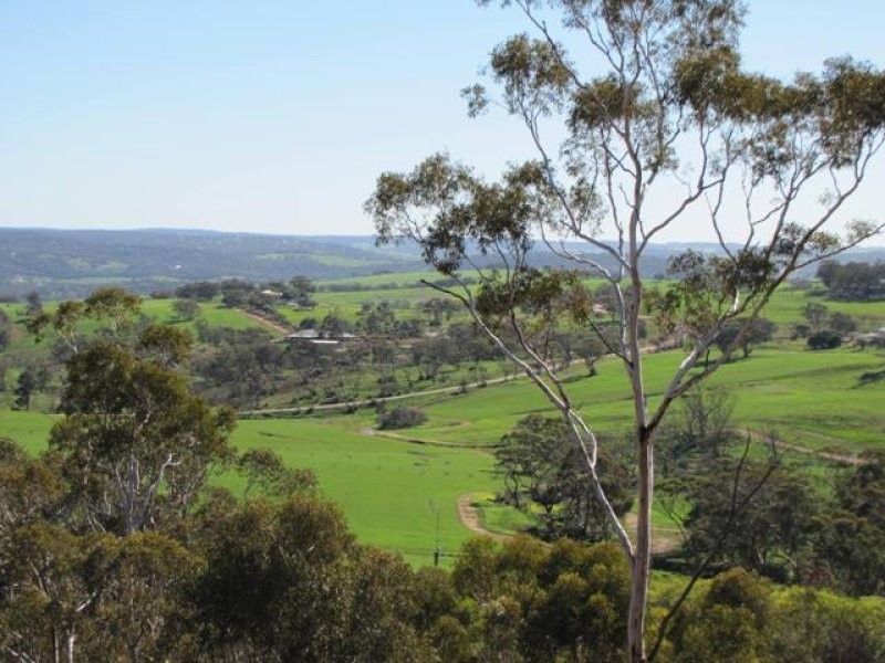 29 Hemiandra Place, Toodyay WA 6566