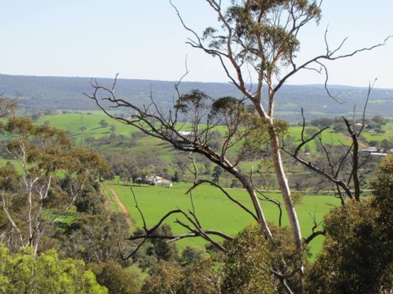 29 Hemiandra Place, Toodyay WA 6566