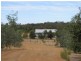122 Darwinia Crescent, Toodyay WA 6566
